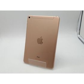 【中古】Apple docomo 【SIMロック解除済み】 iPad mini（第5世代/2019） 64GB ゴールド MUX72J/A【札幌南2条】保証期間１ヶ月【ランクB】