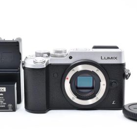 ショット数719回 極上美品 Panasonic LUMIX DMC-GX8 シルバー 充電器付き AYM5135#431