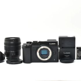 ★美品★ショット数:6,278回★パナソニック Panasonic LUMIX GX8 高倍率ズームレンズキット DMC-GX8H ブラック★ LL668#5869