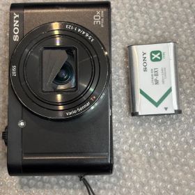 SONY DSC-WX500 1171