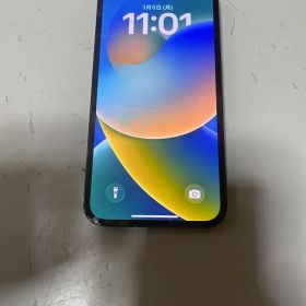 iPhone 13 Pro SIMフリー 訳あり・ジャンク 30,050円 | ネット最安値の