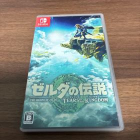ゼルダの伝説 ティアーズ オブ ザ キングダム