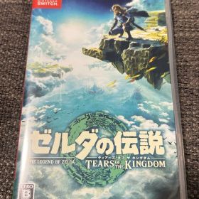 ゼルダの伝説 ティアーズ オブ ザ キングダム