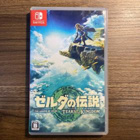 ゼルダの伝説 ティアーズ オブ ザ キングダム