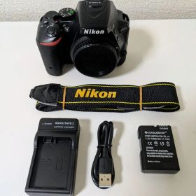 Nikon D5500 ボディ ショット数 49,647回
