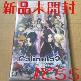 新品 NS Caligula2 -カリギュラ- Switch