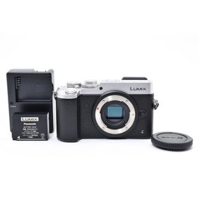 パナソニック(Panasonic)のPanasonic LUMIX DMC-GX8 シルバー AYM5135(ミラーレス一眼)