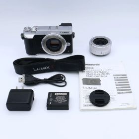 Panasonic パナソニック ミラーレス一眼カメラ ルミックス GX7MK2 標準ズームレンズキット シルバー DMC-GX7MK2KS #251230_WG6HB004326