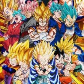 DDK49-海外 -IOS- ランク: 250- 龍石: 14165