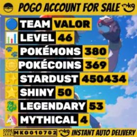 メガメタグロス 4.5K