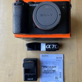 2025年9月購入 撮影枚数183枚 SONY α7C II おまけ付き