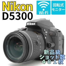【新品級ショット数 ４８１枚】Nikon D5300 WiFiモデル 自撮りOK