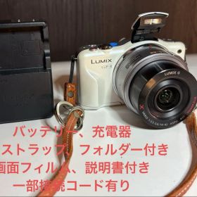 美品 動作確認済み LUMIX DMC-GF3X 電動レンズ ミラーレス一眼