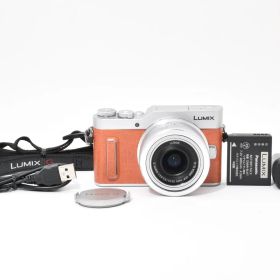 Wi-Fi対応 パナソニック Panasonic DC-GF10 レンズキット ルミックス