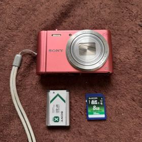 SONY Cyber-shot DSC-WX350 ピンク デジタルカメラ