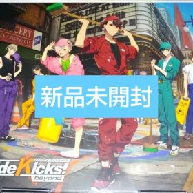 新品◆サイドキックス ビヨンド デラックスエディション switch