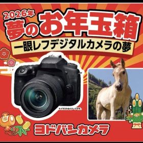 ヨドバシカメラ 一眼レフデジタルカメラの夢 Canon EOS 90D