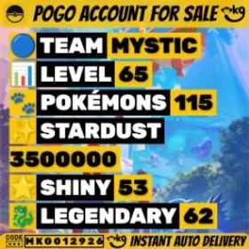 62レグ53 色違い