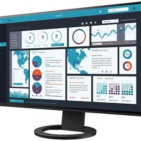 FlexScan EV2495-BK [24.1インチ ブラック]