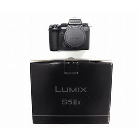 パナソニック パナソニック ミラーレス一眼 LUMIX DC-S5M2X