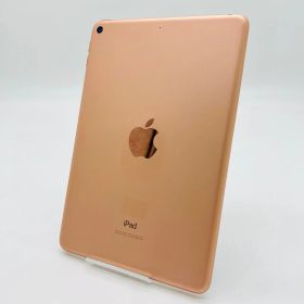 Apple iPad mini 第5世代 Wi-Fi 64GB ゴールド 3F559J/A デモ機 動作確認済み