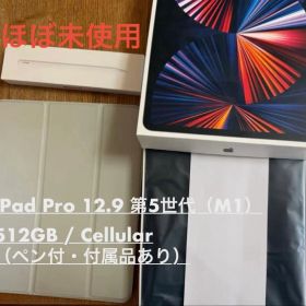 【ほぼ未使用】iPad Pro 12.9 第5世代 512GBセルラー ペン付