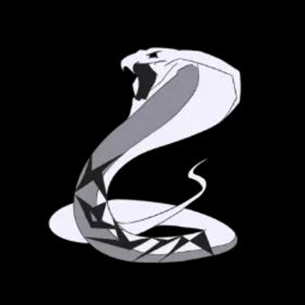 ランク参加可能 LV 70+ PSN