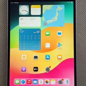 iPad Pro 10.5インチ 256GB SIMフリー バッテリー良好