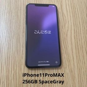 iPhone 11 Pro Max 256GB Space Gray
