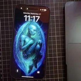 超美品！海外版 iPhone16 Pro Max シャッター音無し 512GB