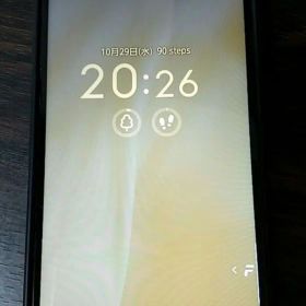 arrows We2 ライトオレンジ(サーモンピンク) FCG2 黒ケース付