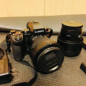 【美品】lumix s5ii ダブルレンズキット