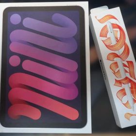 Apple iPad mini (第7世代) 256GB Cellerモデル＋α