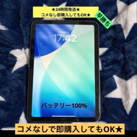 【AppleCare+】 ipad mini 6 64GBバッテリー100%