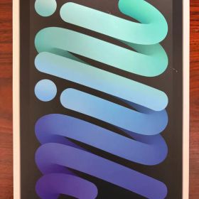 iPad mini (第6世代) スペースグレイ 256GB Wi-Fi