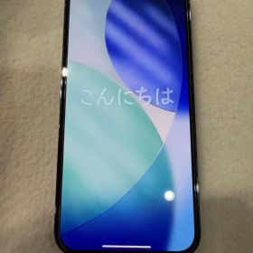 美品 iPhone 13 Pro Max シエラブルー1TB【SIMフリー】