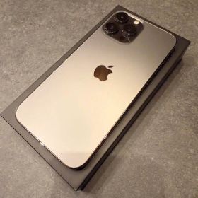 Apple iPhone 13ProMax 512GB 極美品 お得なセット