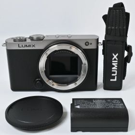 ★極上品★Panasonic LUMIX S9 ボディ DC-S9-S ダークシルバー
