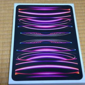 iPad Pro 11 M2 Cellular 2TB グレーAppleCare