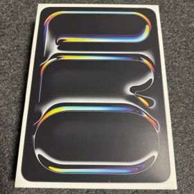 Apple iPad Pro (M4)11インチ 256GB 高速充電器付