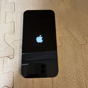 Apple iPhone 12PRO グラファイト