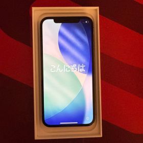 Apple iPhone 12 Pro 128GB グラファイト