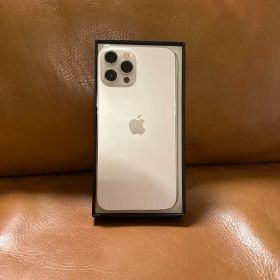 iphone12Pro Max silver