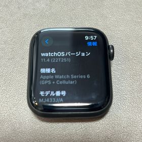 アップル(Apple)のapplewatch series6 edition 44mmチタニウム本体のみ(その他)