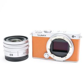 《美品》Panasonic LUMIX S9 広角ズームレンズキット DC-S9N-D