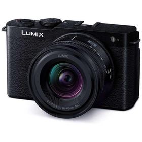 パナソニック ルミックス ミラーレス一眼カメラ 広角ズームレンズキット LUMIX DC-S9N-K ジェットブラック Panasonic