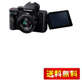 パナソニック 小型・軽量ミラーレス一眼カメラ ルミックス 標準ズームレンズキット ブラック DC-G100DK-K