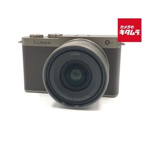 【中古】 【美品】 パナソニック LUMIX DC-S9N-N ZLK 広角ズームレンズキット チタンゴールド
