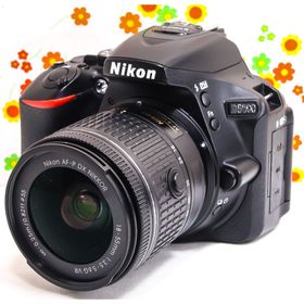 ニコン(Nikon)の美品 ニコン Nikon D5600☆スマホに転送☆高性能一眼レフ☆自撮り可能！(デジタル一眼)