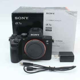 ショット数10916回 ≪ほぼ新品≫ SONY α7III ボディ ブラック ILCE-7M3 #20251219-3077